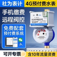 Far Transmission Smart Water Meter Remote Valve Control Copy Meter Prepaid Water 4G Wireless Far Tra