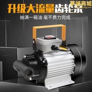 濃度大功率齒輪泵電動抽油泵柴油12v24v220v液壓油抽油機機油泵