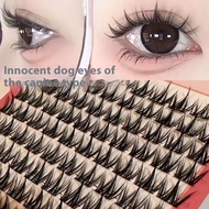 【Shipment Within 24 Hours‌】 Mlen Diary Eyelash Natural Wispy Volume Lashes Cluster Set Easy Apply 3 