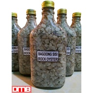 BAGOONG GINAMOS SISI (ROCK OYSTERS) 375ml