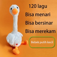 Mainan Boneka Kaktus LED Menari Music Dan Rekam Suara/Dancing Cactus Toy Dancing Cactus