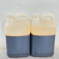 ACACIA HONEY 5KG PURE ORIGINAL HONEY WHOLESALE ACACIA FOREST HONEY