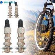 Durable Bicycle Tubeless Valves for Dunlop Woods and English Bike Tires