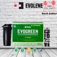 Evogreen Evolene Whey Protein Plant Based 12serving Cutting & Recovery & Build Muscle