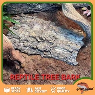 Reptile Bark Bedding Natural Cork Habitat Tree Bark Spider Wood Decoration 爬虫树皮装饰垫材 Cork Bark