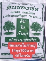 ดินพร้อมปลูก4กิโลกรัม 114บาทรวมส่งดินก้ามปูและดินชีวภาพ ส่วนดินเพาะถุงสีส้มมูลไส้เดือนราคายังไม่รวมส่งคะ