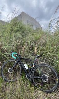 ceepo (s碼）全車走