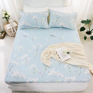 6D冰涼墊 / Cool-Fi 瞬間涼感 / 單人 / 雙人 / 加大 / 多款任選