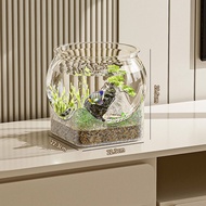 AP AIMAYAPET Desktop Ecological Fish Tank Transparent Round Fish Tank Ultra Clear Removable Desktop 