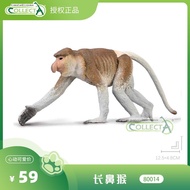 British CollectA Animal Model [80014 Proboscis Monkey] Early Childhood Education Cognitive Toys