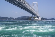 Naruto Whirlpool &amp; Awa Odori One-Day Tour from Osaka