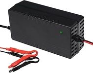 LiFePO4 24 Volt 10A Battery Charger for Lithium Iron Phosphate/Lifepo4 Rechargeable Battery, 29.2V 1
