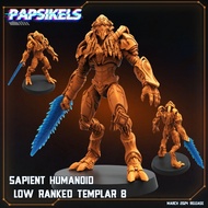 PT Low-Ranked Templar [8]-S-Craft-Humanoid/32mm scale 3D printed miniature PSK