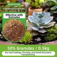 HUAYIFANG | Succulent Soil Nutrient Potting Mix