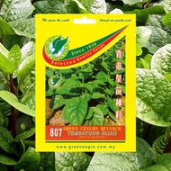 Biji Benih Sayur Tembayung/Ceylon Spinach Pelbagai Jenis
