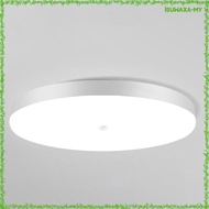 [IsuwaxaMY] Motion Ceiling Light Lighting Fixture Creative Decor Indoor Light for Porch Entryway Home
