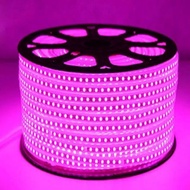 5050 220V 100m Led Strip Lights Meter/ Per Meter 5050 Hose Light/ Meter
