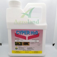 Cyper  H20 4L  20% kawalan serangga