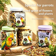 Budgie, love bird, cockatie parrot feed, yellow grain millet  with shells, flower seed and grass see