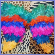 ★ IBONG ADARNA WINGS KID SIZE
