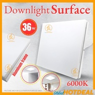 36W Ceiling Light Modern Surface LED Downlight Lampu Bilik Nordic Ceiling Light Down Light LED Ceili