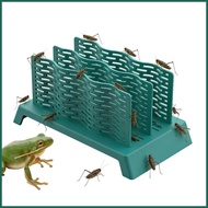 Bearded Dragon Feeder Anti-Escape Feeding Box Gecko Food Bowl for Terrarium Tank Chameleon Lizard Ge