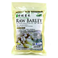 GBT Pure Natural Raw Barley Pure Natural Raw Barley Pure Natural Raw Barley