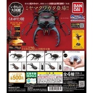全新 Bandai 昆蟲大圖鑑 鍬形蟲 02 扭蛋 01- 03 3種 獨角仙