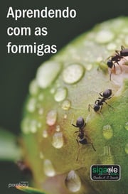 Aprendendo com as formigas CLAUDIO HENRIQUE CERQUEIRA DUARTE Claudio Duarte