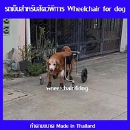 wheelchair4dog รถเข็นสำหรับสัตว์พิการแบบ 4 ล้อ dog wheelchairล้อเลื่อนสำหรับสุนัขพิการ หรือสัตว์ที่ม