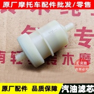 Light Riding Suzuki Scooter Rhythm QS100T-A Licai QS125T-2B-4B Ruicai Gasoline Filter Element Filter