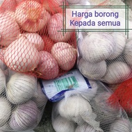 250gm+- BAWANG PUTIH TUNGGAL@SOLO LANANG JANTAN SINGLE Garlic (size L)