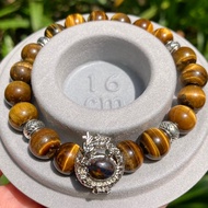 [SG CRYSTAL] Tiger’s Tiger Eye Men Unisex Bracelet with Pietersite Dragon