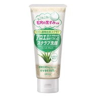 everish Aloe Scrub Face Wash 135g (Direct from Japan)