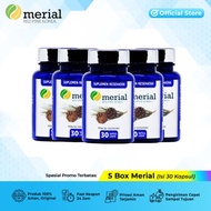 Merial Red Pine Korea - Bundling Package Hancurkan Plak Kolesterol