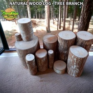 Wood log height 15 cm cake stand decoration diy craft material - 1 - 2 cm, 5 cm