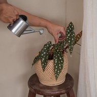 //手工竹編空氣圓盆/置物籃/花器-多尺寸