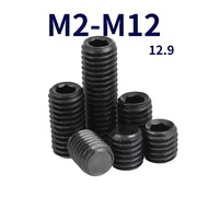 Fixing Screw Grade 12.9 Flat End Machine Meter Screw M2/M2.5/M3/M4-M12 [FKY-G]