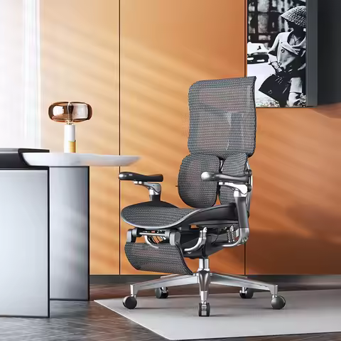 SIHOO Doro S300 Ergonomic Office Chair Gaming Chair Computer Chair with Dual Lumbar Support 6D Armre