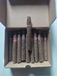 cerutu havana extra fine bijian