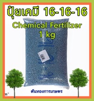 ปุ๋ยเคมี chemical fertilizer สูตร 1ุ6-16-16 บำรุงต้น ดอก ผล น้ำหนัก 1 กิโลกรัม บำรุงต้นไม้ ปุ๋ย ต้นไม้ ผัก