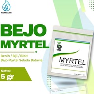 Benih / Biji / Bibit BEJO MYRTEL Selada Batavia - Kemasan 5 Gram