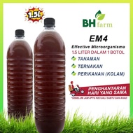 EM4 Effective Microorganisms EM4 Penternakan EM4 Perikanan Em4 Pertanian Baja EM Baja EM4 Beta Fish 