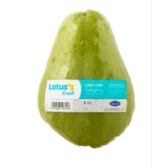 LOTUS  Fresh 1pc Chayote | Labu Siam Pumpkin Saiz M Gred 1 + Box /Bubble Wrap