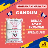 SP Berkat Gandum Ayam / Gandum Bersih / Gandum Biji (25KG)