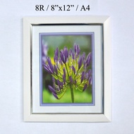 Wood Photo Frame White Size 8R / 8"x12" / A4