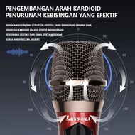 Professional Wireless Karaoke Microphone Double Mic Karaoke Without Cable Karaoke Microphone With Re