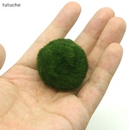 Tutu 3-4cm Marimo Moss Balls Living Aquarium Algae Fish Tank Decoration Simulation Green Algae Balls