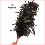 ✼ ✙ ⊙ Large Feather Duster | Buntot | Authentic Chicken Feathers