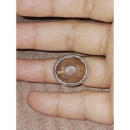 Cincin Permata Teras Pine Cypress/Araucaria